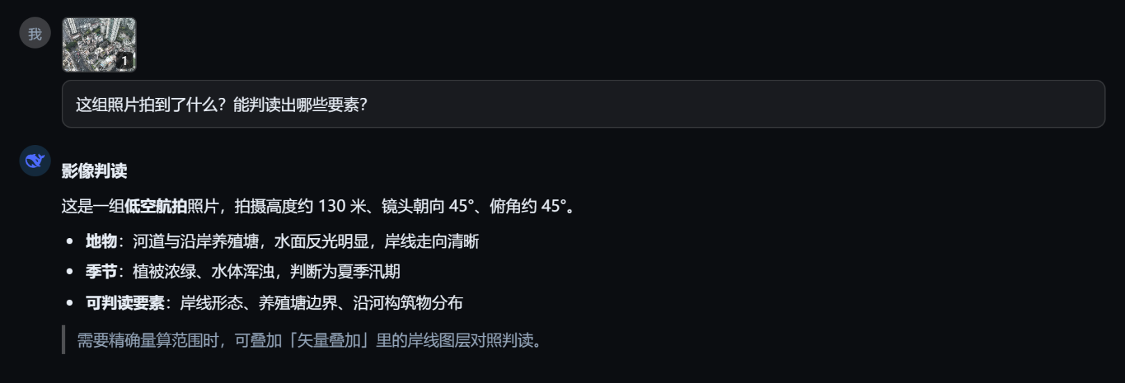 AI 影像分析 · 真实界面（对话区）